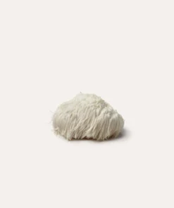 Lion's Mane
