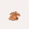 Turkey Tail