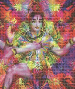 SHIVA ACID
