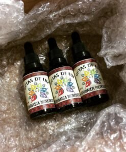 Ayahuasca