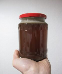 Ayahuasca