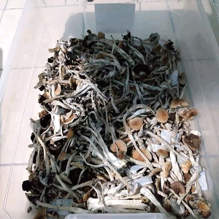 IMG 20210119 WA0016 2