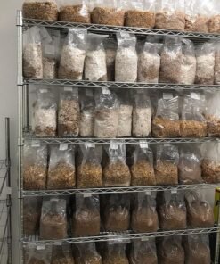 Mushrooms Spores/cakes
